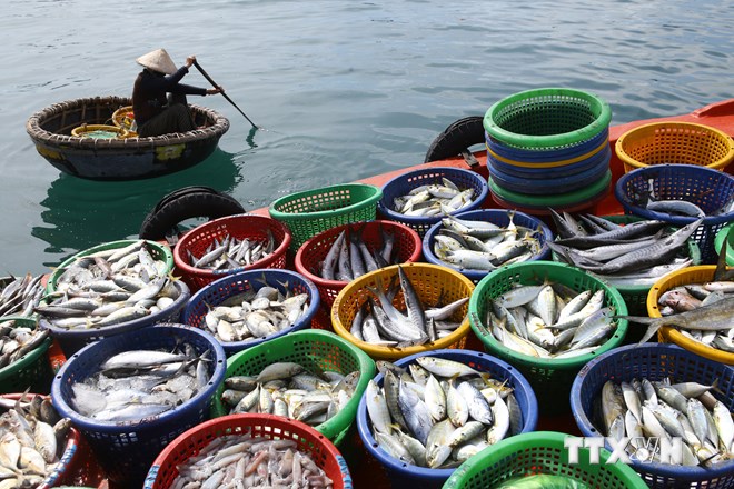 Aquaculture output estimated to reach 4 75 million tonnes